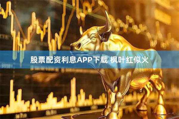 股票配资利息APP下载 枫叶红似火