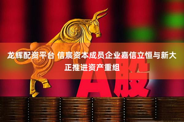 龙辉配资平台 信宸资本成员企业嘉信立恒与新大正推进资产重组