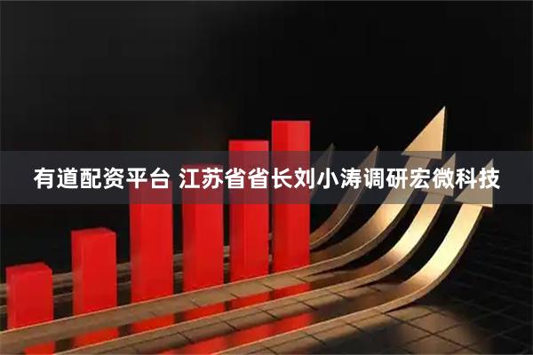 有道配资平台 江苏省省长刘小涛调研宏微科技